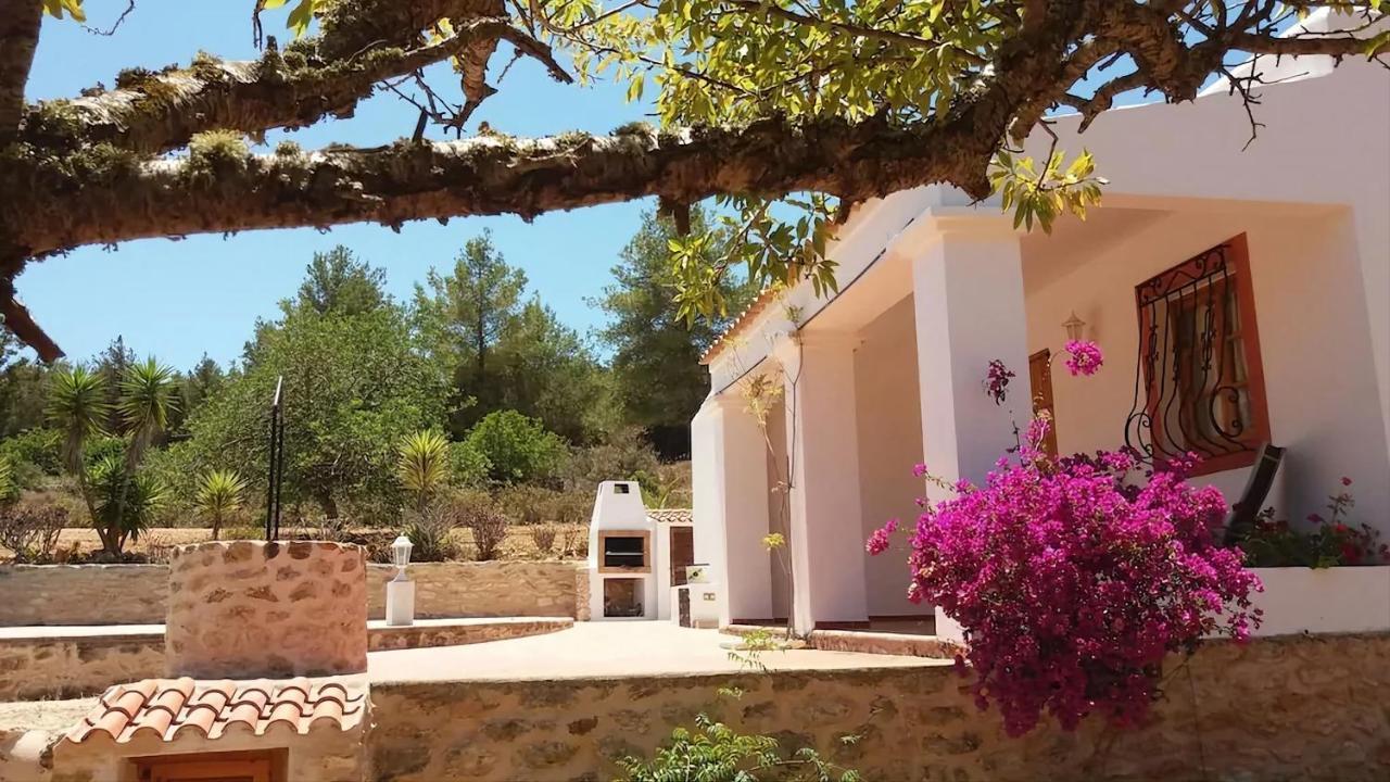 Villa Great Paradise Сан-Хосе Экстерьер фото